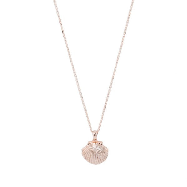 Shell Locket Necklace - Blue Canoe outfitter